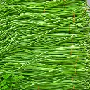 FMS Kousenband 3.webp