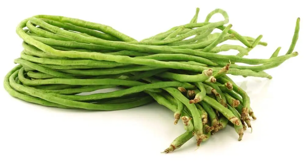 FMS Kousenband 1.webp