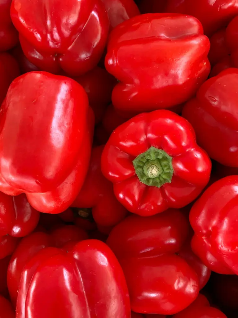 FMS Paprika Rood