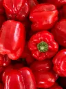 FMS Paprika Rood