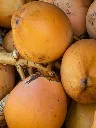 Kokosnoten