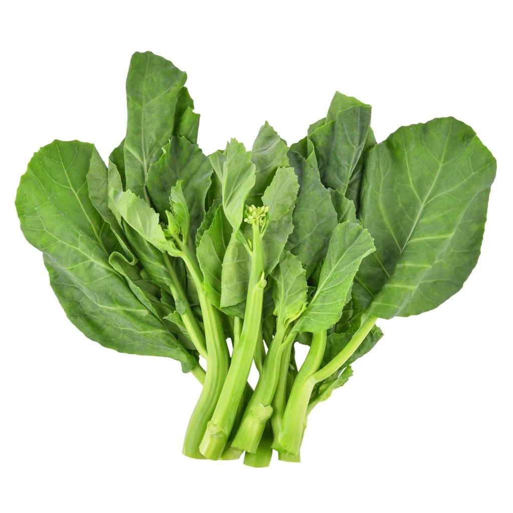 Kailan (Kai Lan - Chinese Broccoli)