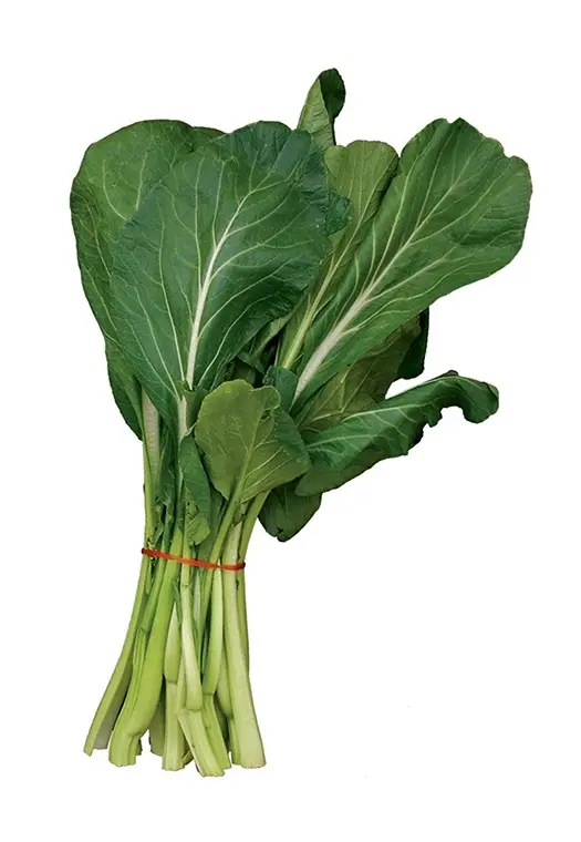 Kaisoi