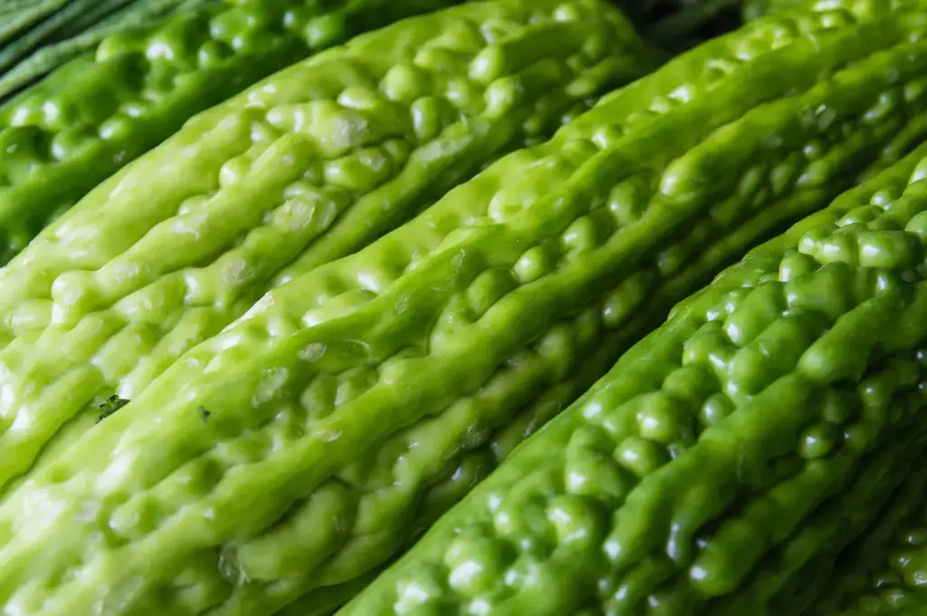 Sopropo (Bitter Melon)