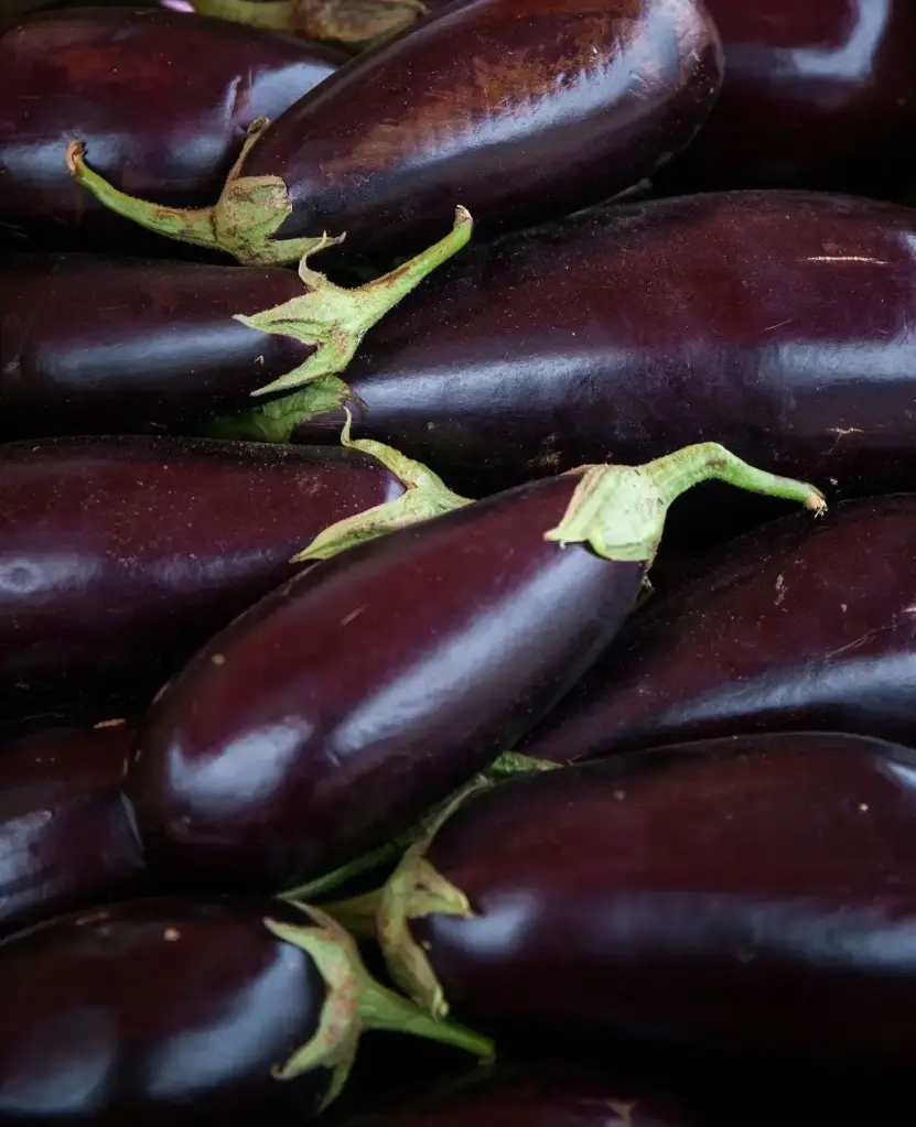 Boulanger (Aubergine)
