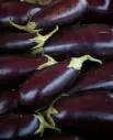 Boulanger (Aubergine)
