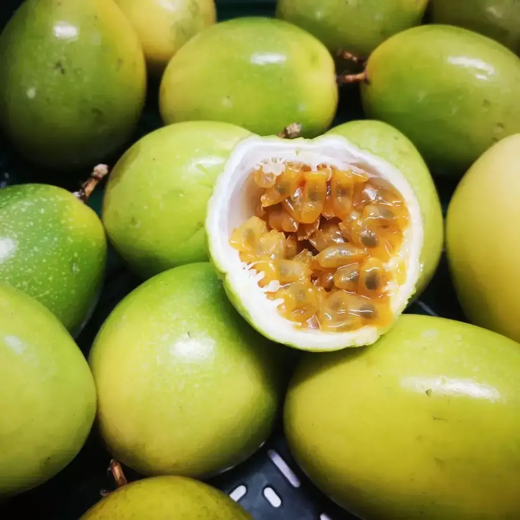 Markoesa (Passion Fruit)