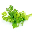 Soepgroenten (Selderij)