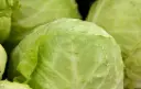 Kool